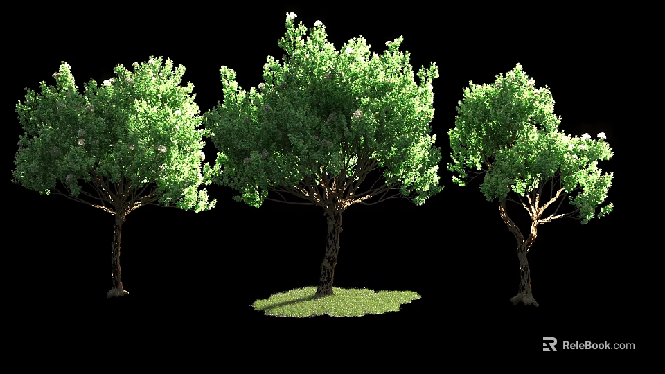 Three Arbor Trees With Lush Green Foliage And Grass Patch Isolated 3d model 