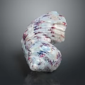 Two Purple and White Striped Aquatic Animal Conch Shells on Dark Background