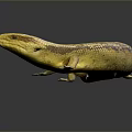 Realistic Yellow and Brown Patterned Lizard with Curved Body and Smooth Skin