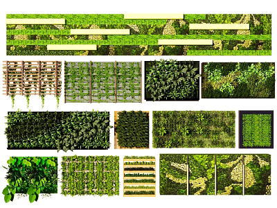 Different Styles Of Green Living Walls For Decoration 3d model