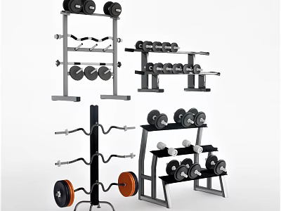 Modern Sports Equipment Display With Dumbbell Racks And Barbell Storage Solutions 3d model