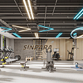 Modern Gym 3d model