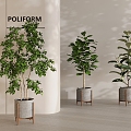 green plant potted plant combined ceramic pot plant green plant 3d model