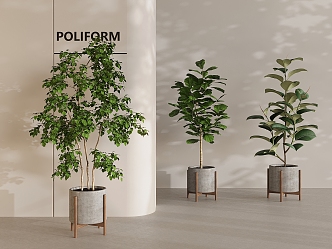 green plant potted plant combined ceramic pot plant green plant 3d model