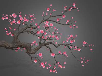 Pink Plum Blossom Shaped Pastry With Delicate Sweet Flavor And Gray Background 3d model
