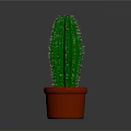 Green Cactus Plant with Spines in Brown Terracotta Pot on Gray Background