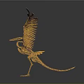 modern diving bird diving bird skeleton cormorant skeleton 3d model