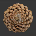 Pine Cone As Natural Edible Food With Brown Scales And Rough Surface