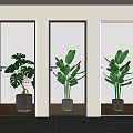 Interior Glass Doors With Different Frosted Patterns And Potted Plants 3d model