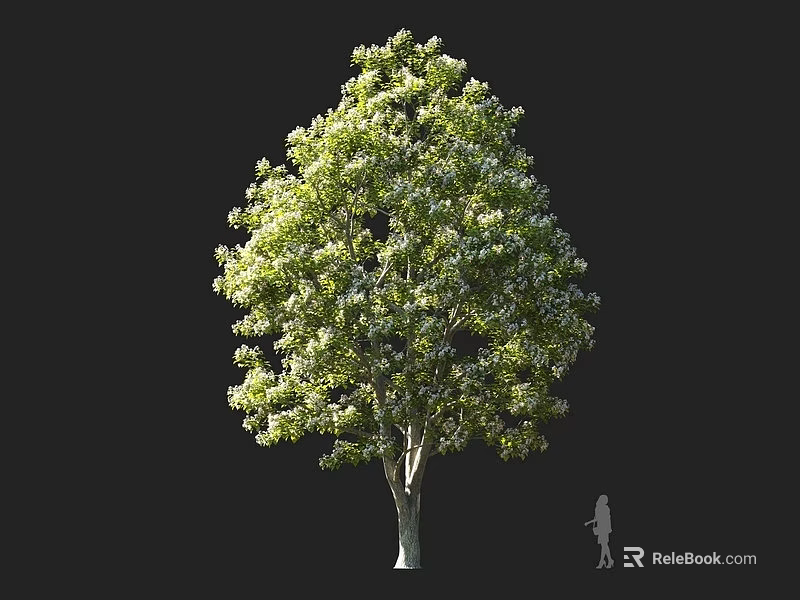 Tall Deciduous Tree with Lush Green Leaves and Silhouette Figure for Size Comparison 3d model 