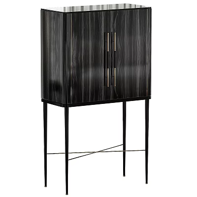 Modern Entryway Console Cabinet With Black Wood Grain Double Doors And Metal Legs 3d model