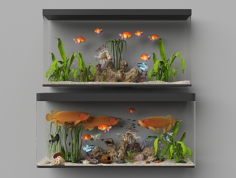 modern aquarium 3d model