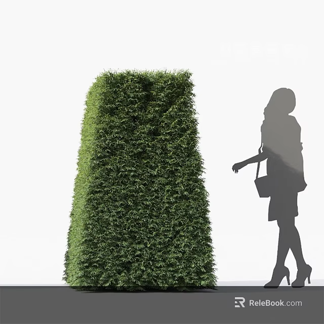 Tall Columnar Well Trimmed Green Outdoor Bush With Woman Silhouette Walking 3d model 