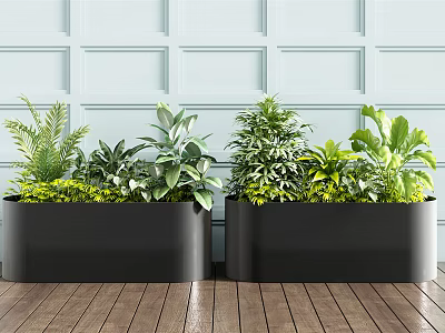 Bonsai Potted Plants In Black Rectangular Planters With Various Green Foliage 3d model