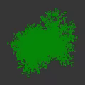 Tall Leafy Tree With Green Lush Branches And Sturdy Brown Trunk