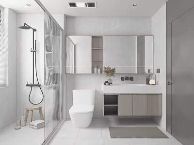Modern Bathroom Interior With Shower Toilet And Vanity 3d model