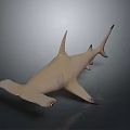 Realistic Brown Shark 3D Model With Fins Tail And Smooth Gray Background Surface 3d model