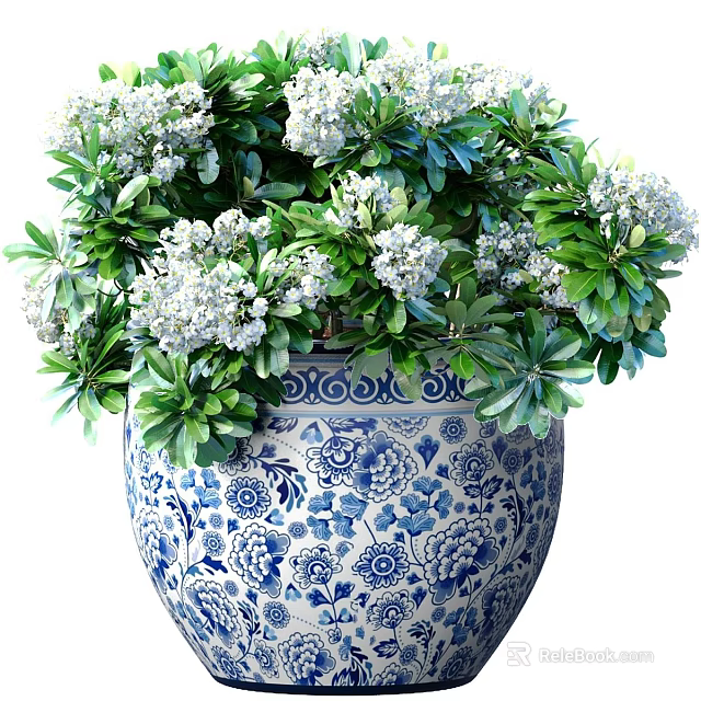 Exquisite Bonsai Plant in Blue and White Patterned Pot with Green Leaves and White Flowers 3d model 