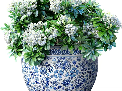 Exquisite Bonsai Plant in Blue and White Patterned Pot with Green Leaves and White Flowers 3d model