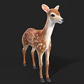 3D Fawn Model with Brown Fur and White Spots on Black Background