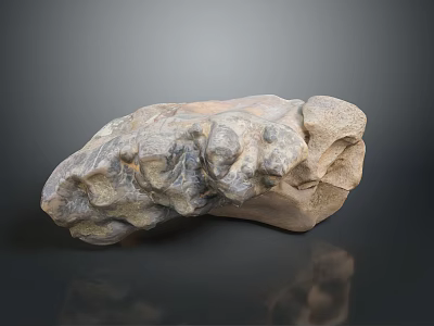 Natural Wood Stone Decorative Piece With Rustic Texture And Organic Shape 3d model
