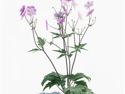 Vibrant Flowers and Plants with Purple Pink Blooms Green Leaves on Tall Stems 3d model