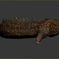 Slender Eel With Brown And Yellow Spots On Dark Background Showing Reflection 3d model