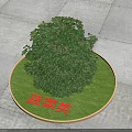 Lush Green Tree Planted In Circular Grassy Area Labeled Vegetable Category 3d model