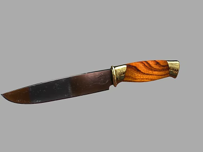 Vintage Knife with Wooden Handle and Brass Metal Accents Rusty Blade Design 3d model
