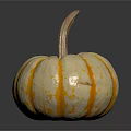 Fresh Yellow And Orange Striped Pumpkin With Stem On Black Background