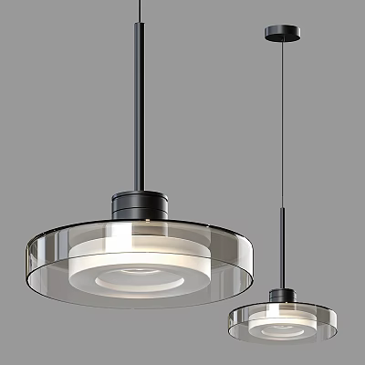 Modern Circular Pendant Lights With Transparent Glass Shade And Black Metal Frame 3d model