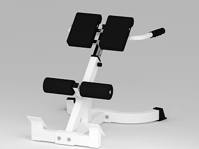 Black White Ab Trainer With Padded Seats Metal Frame Leg Rollers For Home Gym 3d model