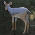 A Graceful Antelope In The Natural Forest And Grassland Habitat