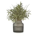 Bonsai Potted Plant with Green Leaves in Glass Vase and Stones for Indoor Decoration
