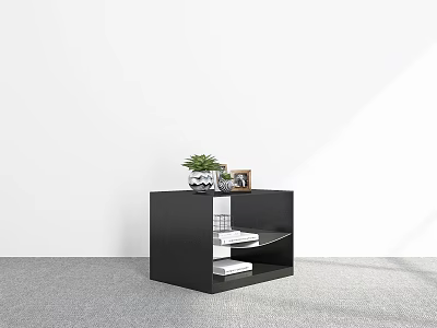 Black Low Cabinet With Green Plant Photo Frame Books On Shelves White Wall Gray Floor 3d model