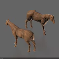 Two Detailed Wooden Horse Sculptures With Natural Carving Texture On Blue Background