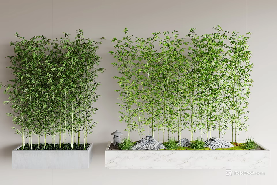 Indoor Bamboo Plants In Modern Planters With Rocks And Moss 3d model 