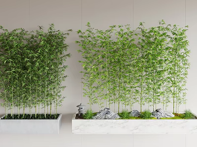 Indoor Bamboo Plants In Modern Planters With Rocks And Moss 3d model