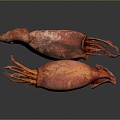 Modern Squid Cuttlefish 3d model