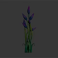 Botanical Plant with Purple Buds and Green Stems Growing Naturally