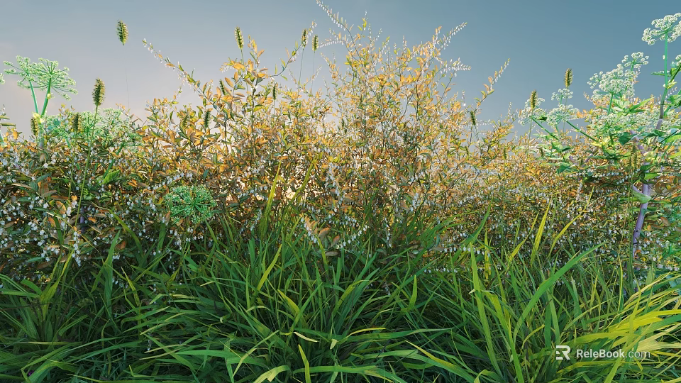 Lush Green Bushes With White Flowers And Tall Grass Under Blue Sky 3d model 