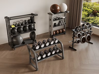 Modern Home Gym Setup With Dumbbells Fitness Balls And Equipment Shelves 3d model