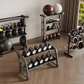 Modern Home Gym Setup With Dumbbells Fitness Balls And Equipment Shelves