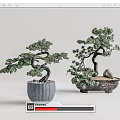 Two Bonsai Plants With Curved Trunks Green Foliage In Blue And Stone Containers