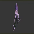 Elegant Purple Marine Squid with Long Slender Tentacles and Pink Hues