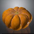 Vibrant Orange Round Textured Pumpkin With Shiny Rind And Glossy Surface