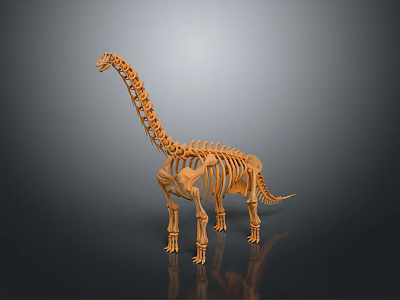 Realistic Dinosaur Skeleton 3D Model Featuring Long Neck Gray Background And Wooden Color 3d model