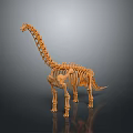 Realistic Dinosaur Skeleton 3D Model Featuring Long Neck Gray Background And Wooden Color