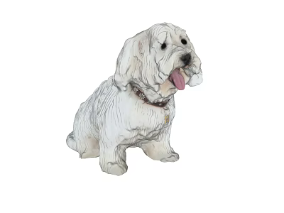 Colorful Reptile Lizard Perching On Tree Trunk In Tropical Forest 3d model