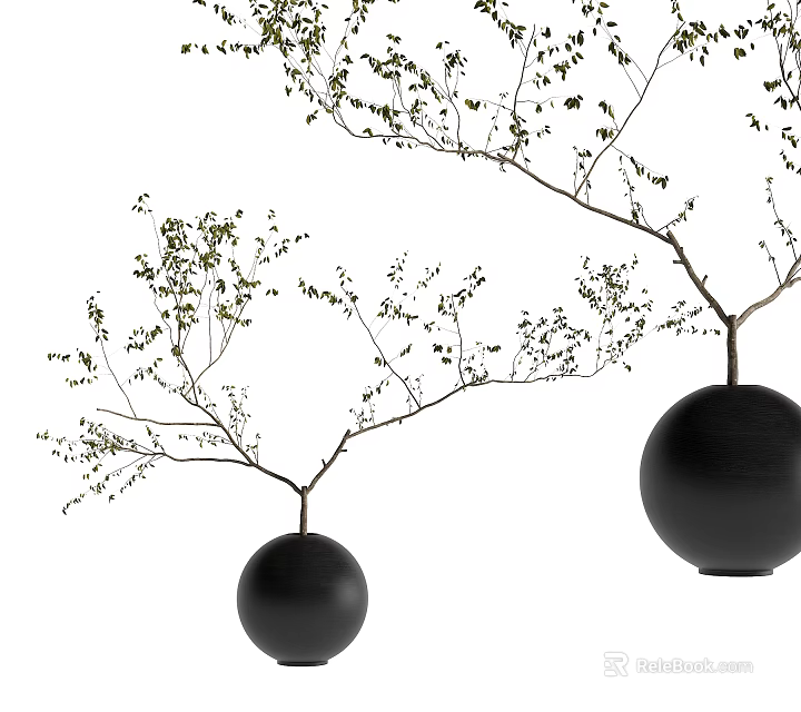 Bonsai Potted Plant In Black Spherical Pots With Slender Branches And Small Green Leaves 3d model 